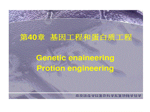 生物化学第40章基因工程和蛋白质工程课件.ppt