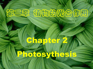 精品课程植物生理学ppt课件3光合作用.ppt