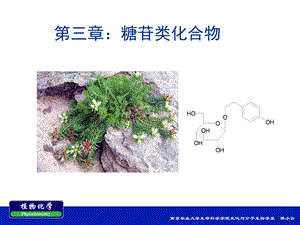 第三章糖苷类化合物课件.ppt