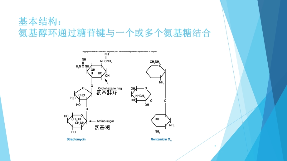 氨基糖苷类抗菌药物课件.pptx_第2页