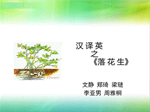 汉译英之落花生课件.ppt