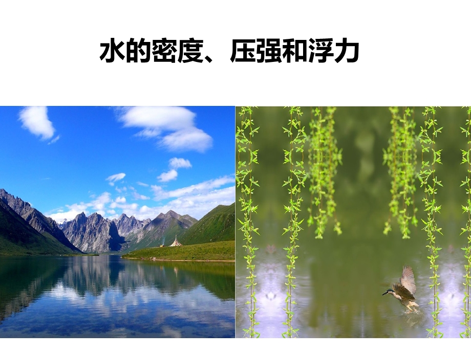 水的密度、压强和浮力课件.ppt_第1页