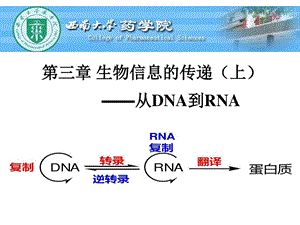 现代分子生物学ppt课件3生物信息的传递上.ppt