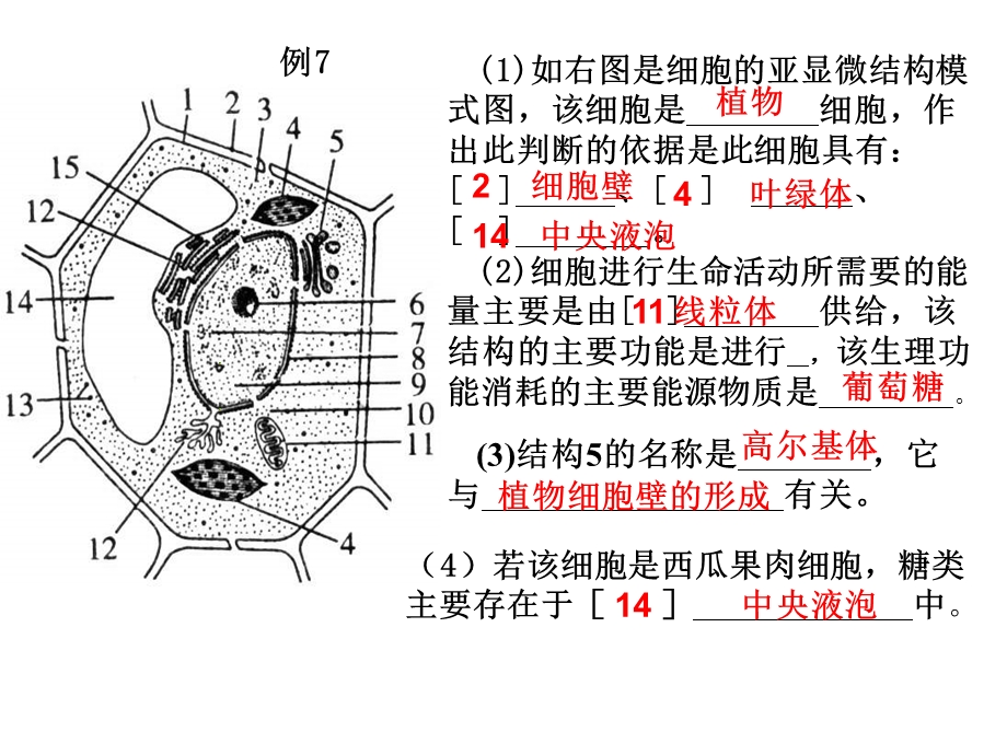 生物必修一典型题讲义课件.ppt_第2页