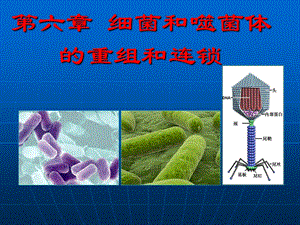 第八章细菌和噬菌体的重组和连锁课件.ppt