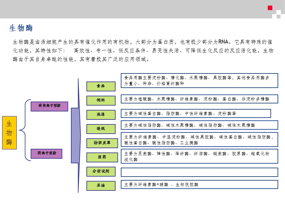 生物酶行业分析报告课件.ppt_第3页