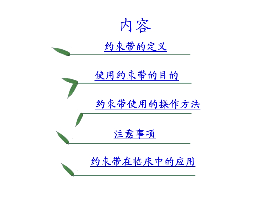 约束带的使用课件.ppt_第2页