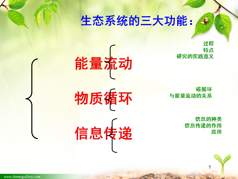 生态系统的三大功能课件.ppt_第1页