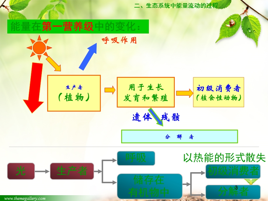 生态系统的三大功能课件.ppt_第3页