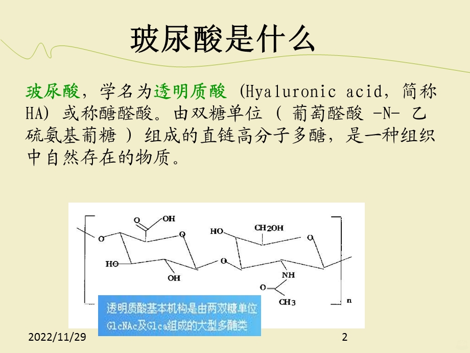 玻尿酸基础知识课件.ppt_第2页