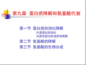 第九章蛋白质的酶促降解和氨基酸代谢讲课课件.ppt