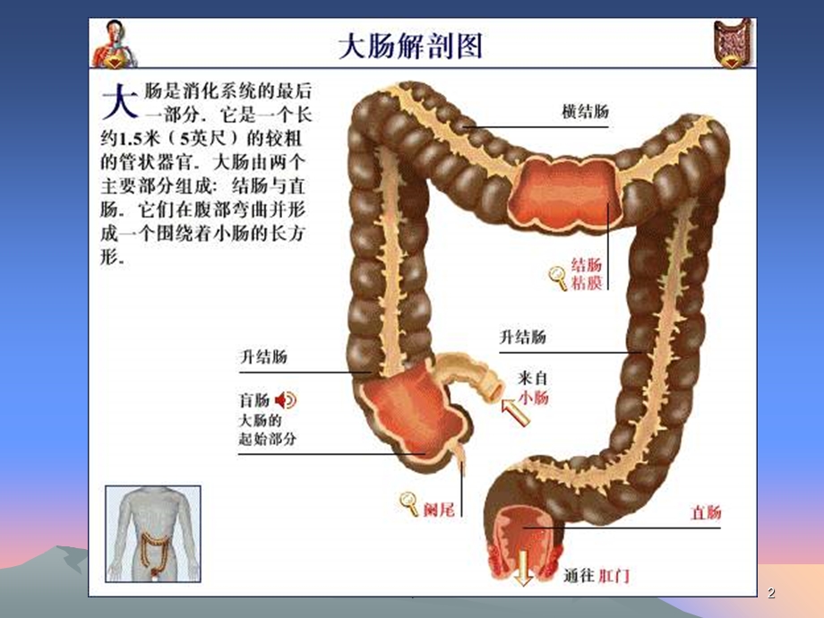 直肠癌的护理课件.ppt_第2页