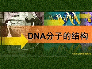 第二节DNA分子结构课件.ppt