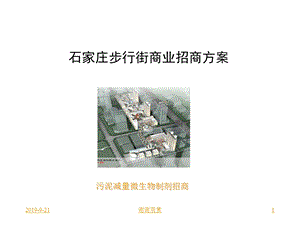 石家庄步行街商业招商方案课件.ppt