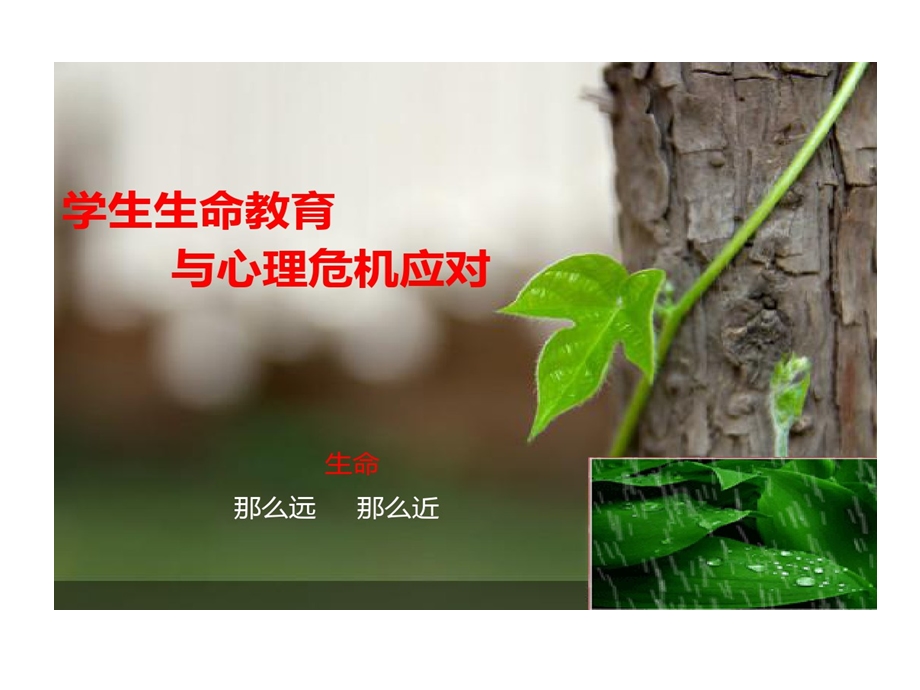 疫情防控期间学生生命安全教育和心理危机应对课件.ppt_第1页