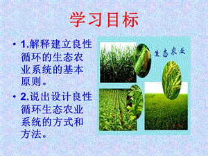 第四节建立良性循环的生态农业系统课件.ppt