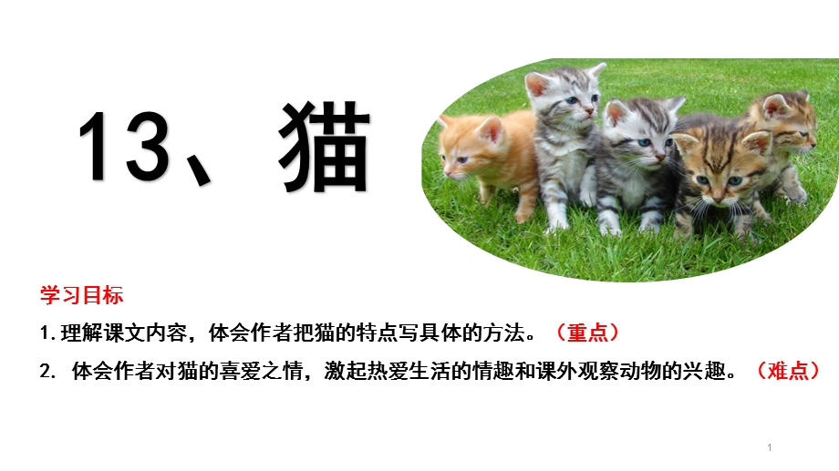 猫第二课时课件.pptx_第1页