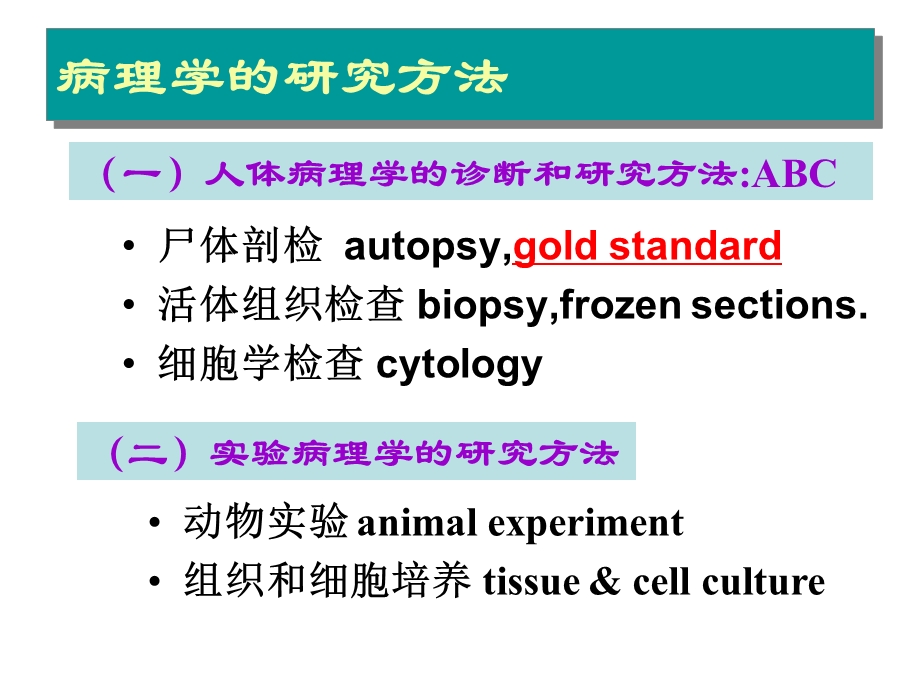 病理学技术的应用课件.ppt_第2页