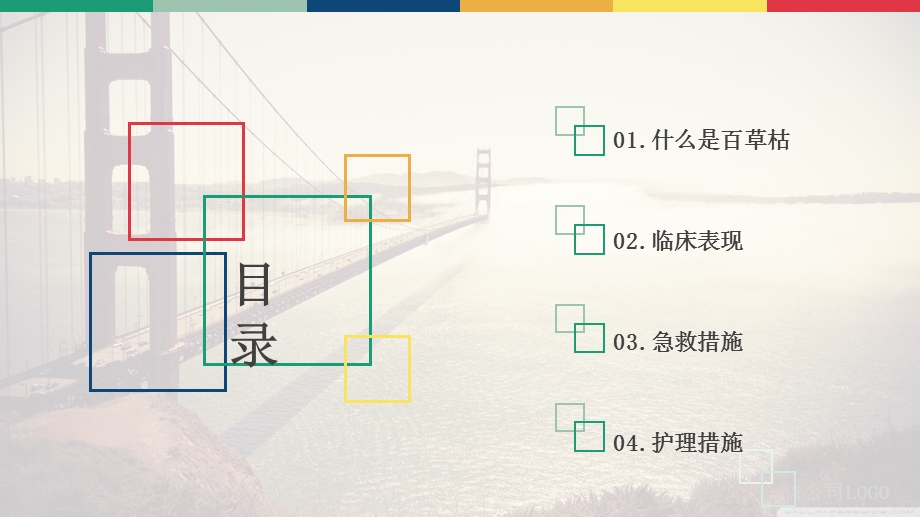 百草枯中毒的抢救及护理课件.ppt_第2页