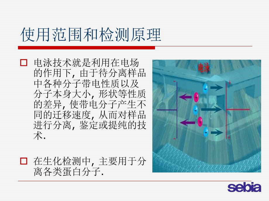 电泳技术的临床应用完整版课件.ppt_第2页