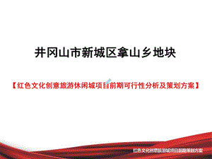 江西井冈山旅游休闲城项目可行性分析及策划方案课件.ppt