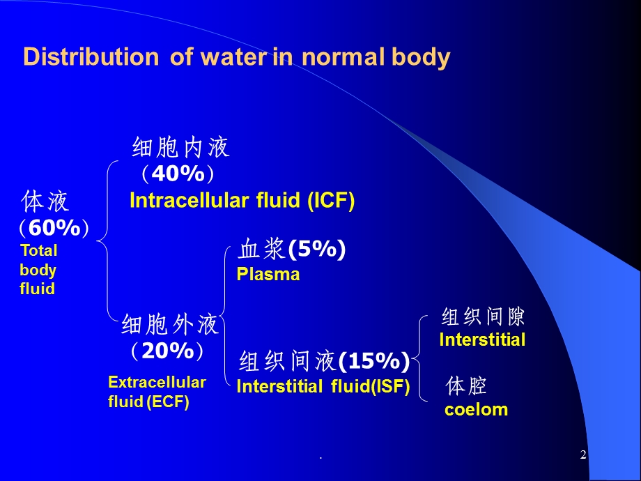 水肿完整课件.ppt_第2页