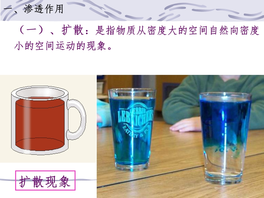 物质跨膜运输的实例课件.ppt_第2页