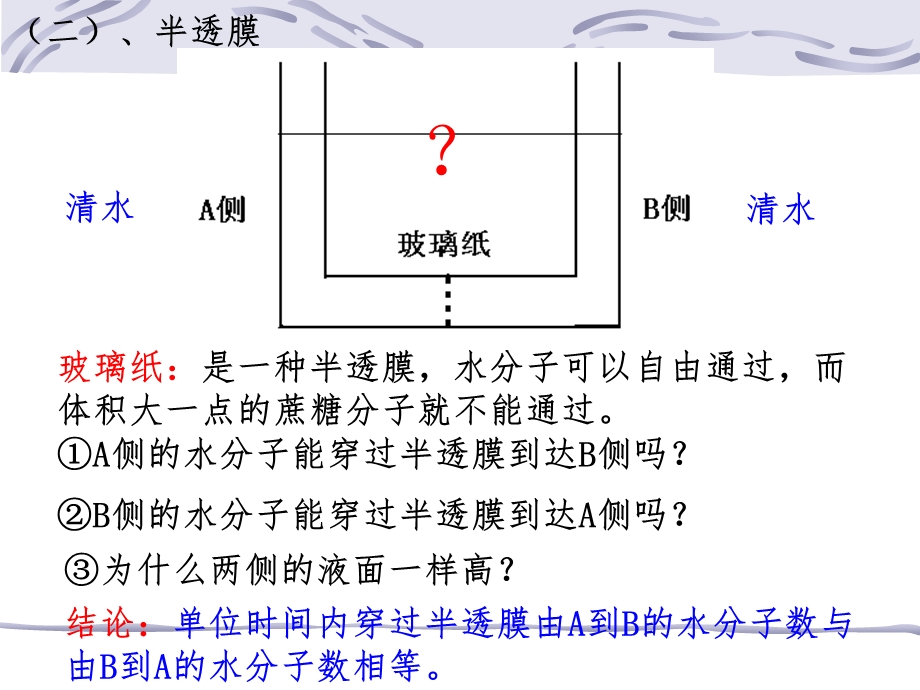 物质跨膜运输的实例课件.ppt_第3页