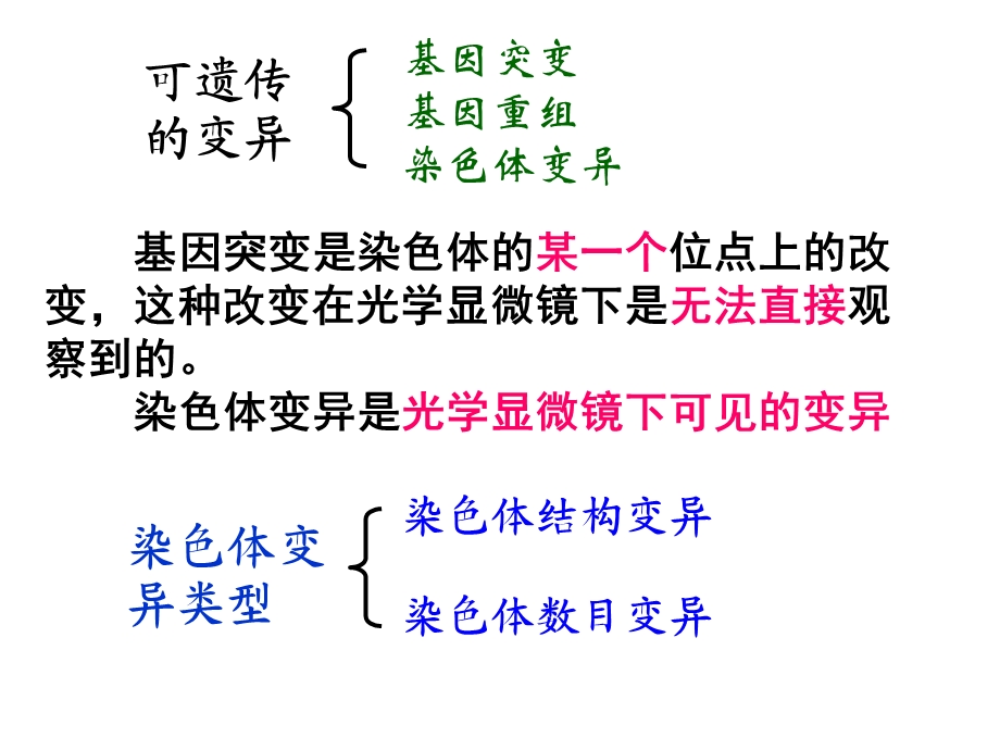 新授课ppt课件第节染色体变异.ppt_第1页