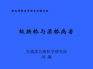 板拱桥与梁桥病害课件.ppt