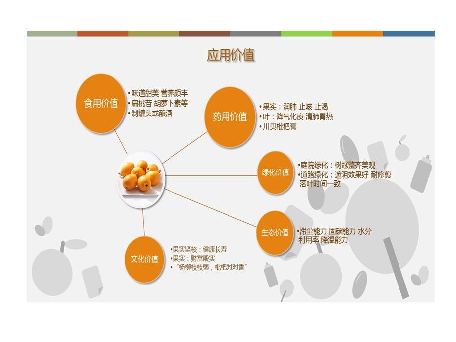 枇杷栽培与管理课件.ppt_第3页