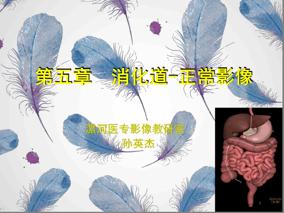 消化系统正常影像表现课件.ppt_第1页