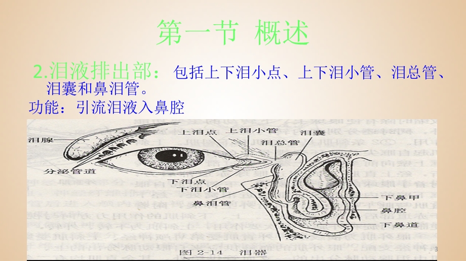 泪器病课件.ppt_第3页