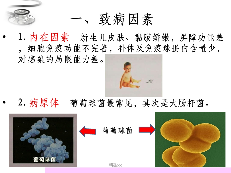 新生儿败血症完整课件.ppt_第3页