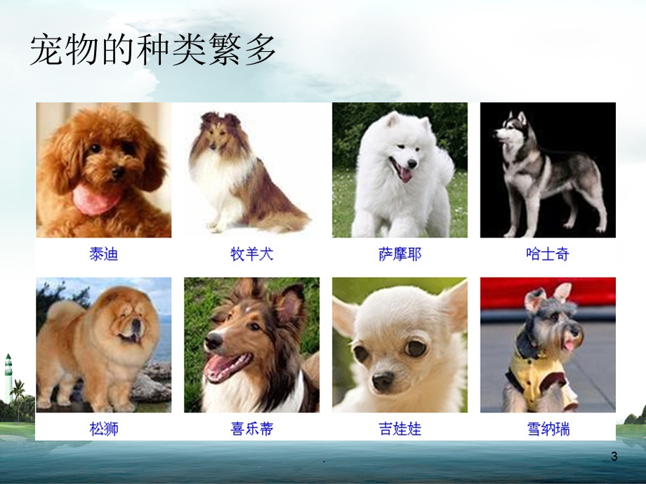 第一讲宠物的行为课件.ppt_第3页