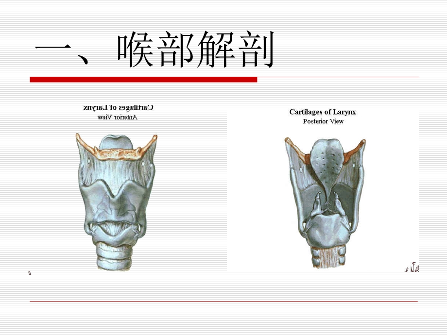 气管插管教学课件.ppt_第1页