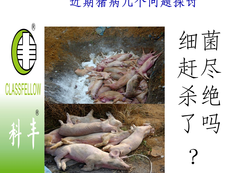 猪病防治课件.ppt_第3页