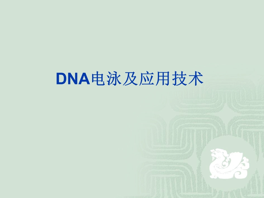 DNA电泳及应用技术精美生物医学课件.ppt_第1页
