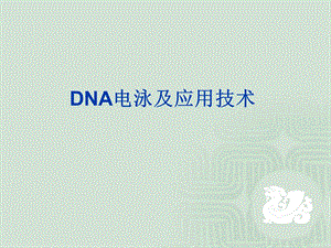 DNA电泳及应用技术精美生物医学课件.ppt