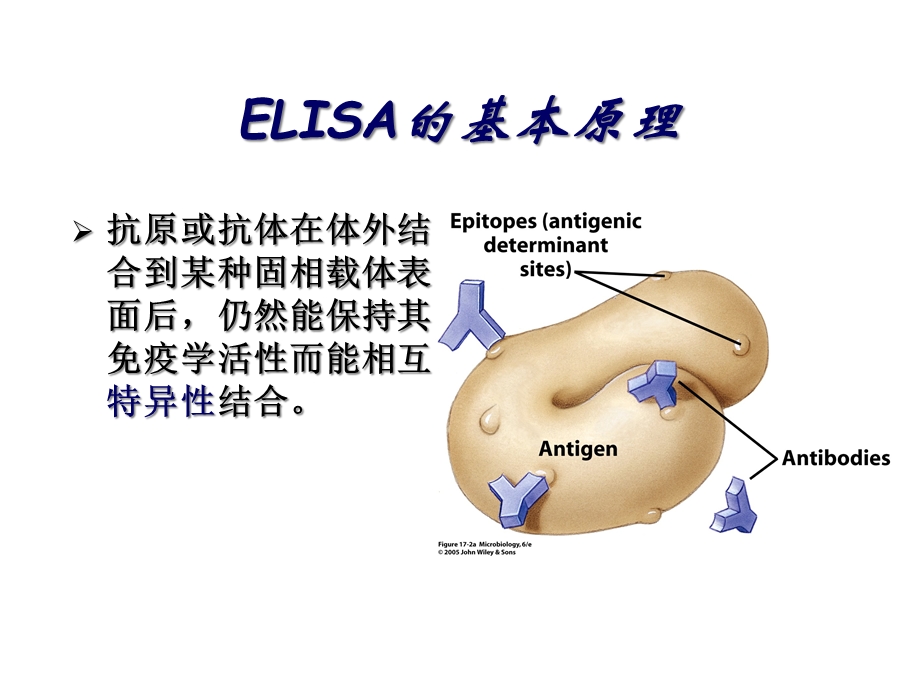 ELISA的基本原理和质量控制课件.ppt_第3页