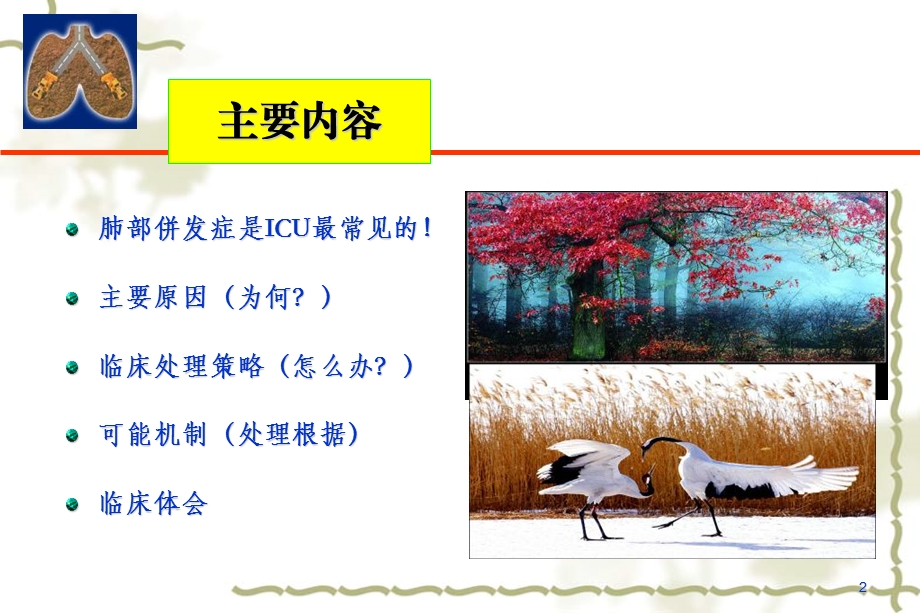 icu期间肺保护策略与进展蒋东坡课件.ppt_第2页