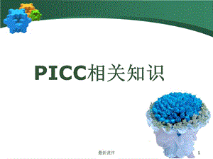 PICC的护理问题专业课件.ppt