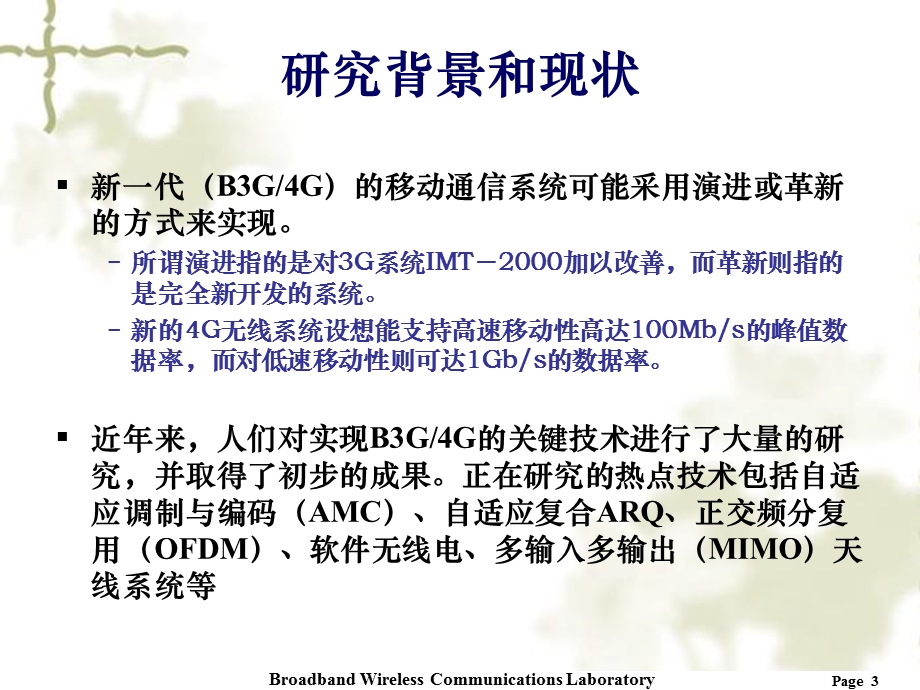 OFDM与OFDMA系统中的同步技术研究课件.ppt_第3页