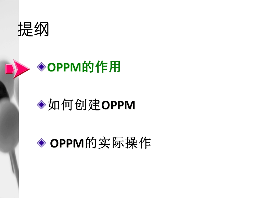 OPPM一页纸项目管理(-42张)课件.ppt_第2页