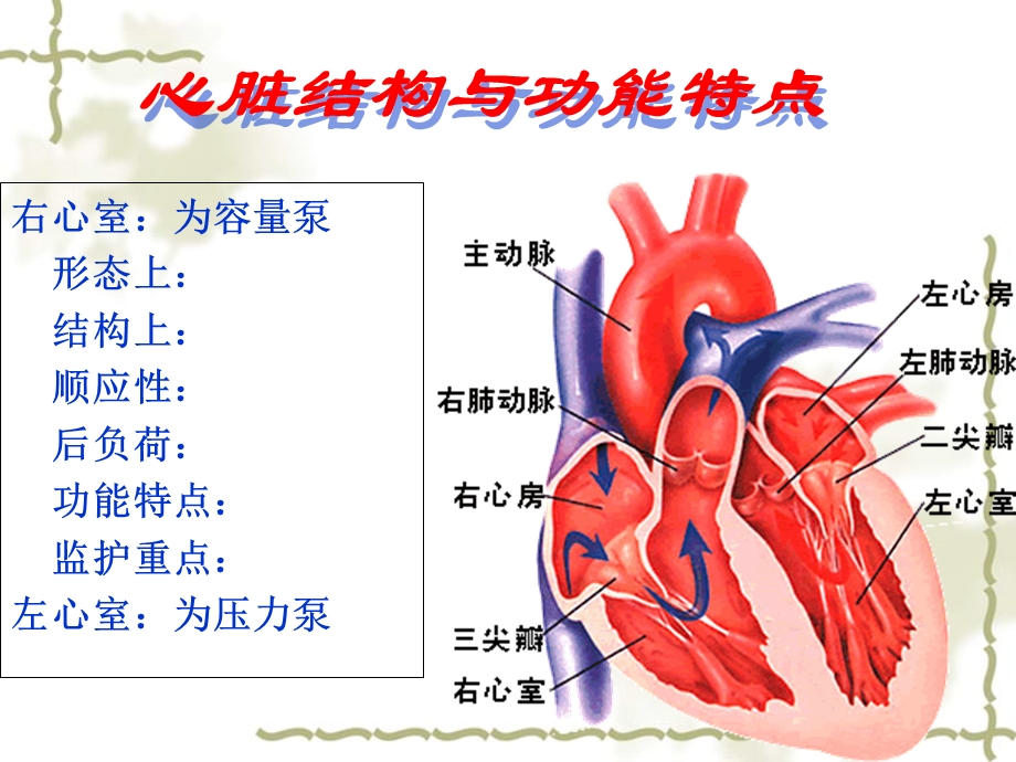 PTCA术-患者护理简述课件.ppt_第2页