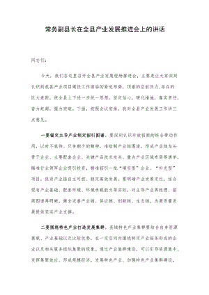 常务副县长在全县产业发展推进会上的讲话.docx