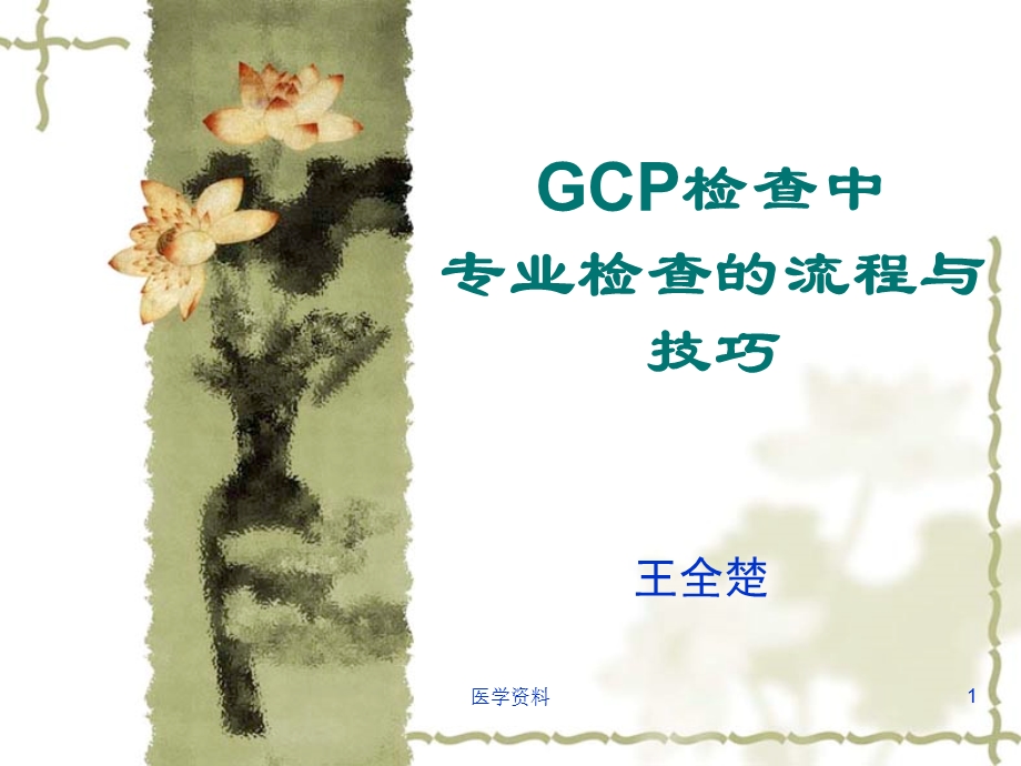 GCP检查中专业检查的流程与技巧课件.ppt_第1页