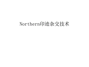 Northern印迹杂交技术教案课件.ppt