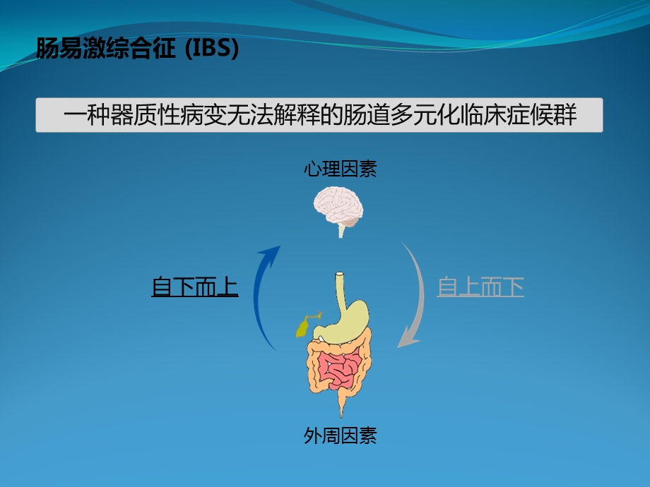 IBS病理生理机制研究进展课件.ppt_第2页