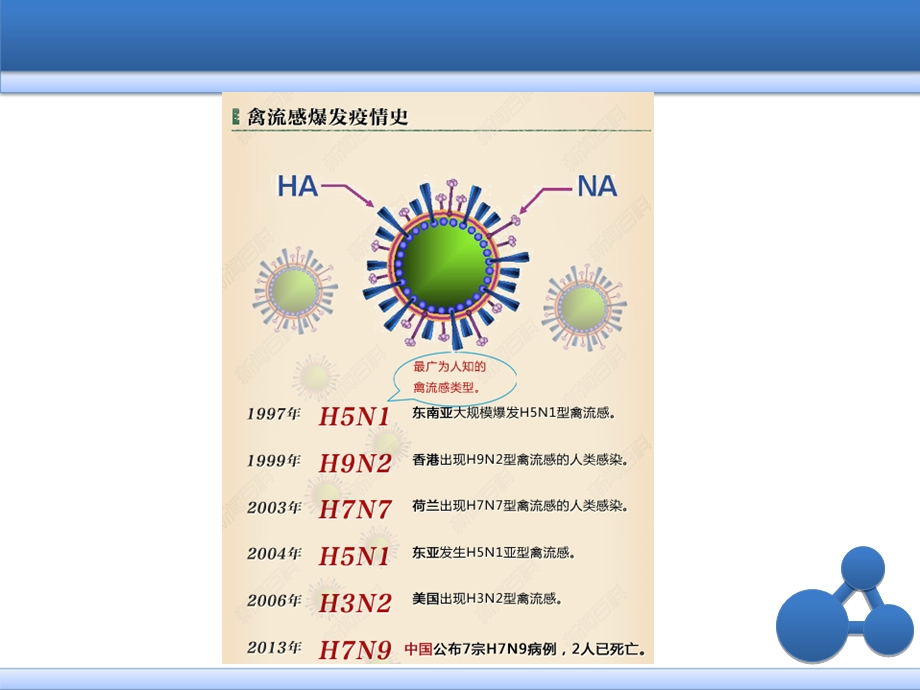 H7N9禽流感培训040课件2.ppt_第3页